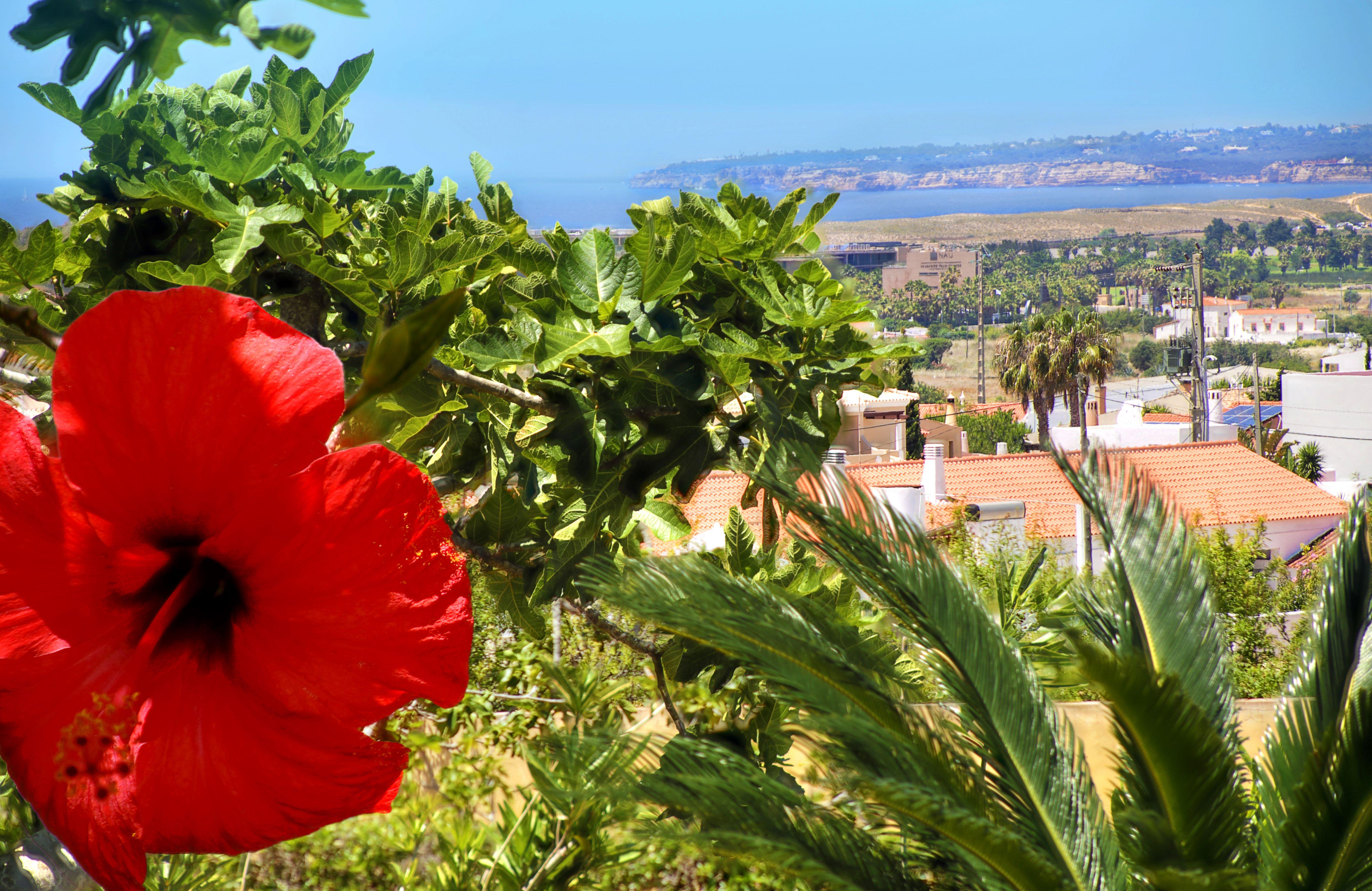 Parque Monte Verde Albufeira Extérieur photo